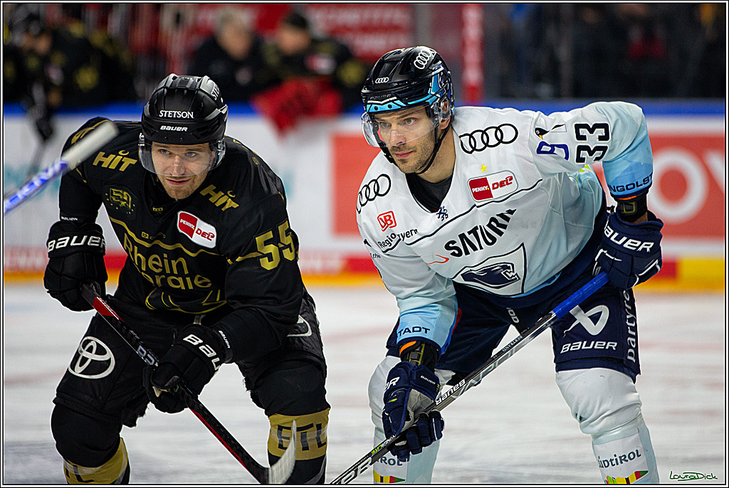 PENNY DEL;  Kölner Haie - ERC Ingolstadt; Köln, 25.11.2022